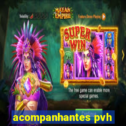 acompanhantes pvh